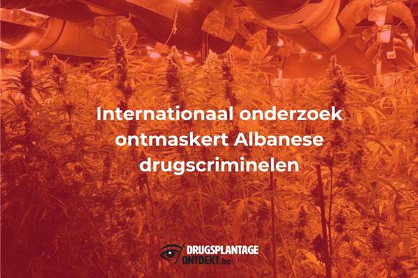 Antwerpen, Ternat - Internationaal onderzoek ontmaskert Albanese drugscriminelen